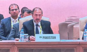 Pakistan Committed to Overcome Global Challenges: Ambassador