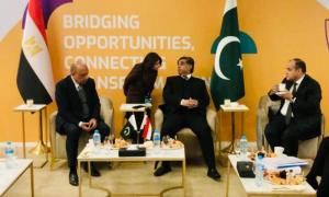 Pakistan, Egypt Commerce Ministers Discuss Trade, Investment Opportunities