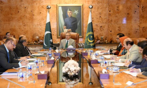 Pakistan's President Calls for Implementation of Job Quotas for Persons with Disabilities