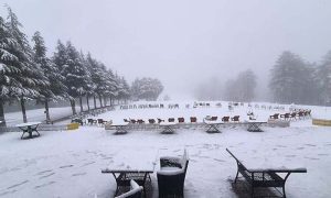 Snow