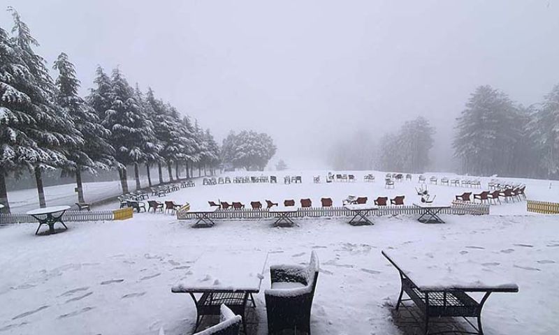 Snow