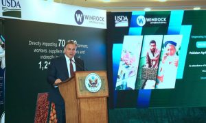 US, Pakistan, ambassador, envoy, Washington, Islamabad, economy, agriculture, tomato, jobs, Khairpur, Sindh, Climate