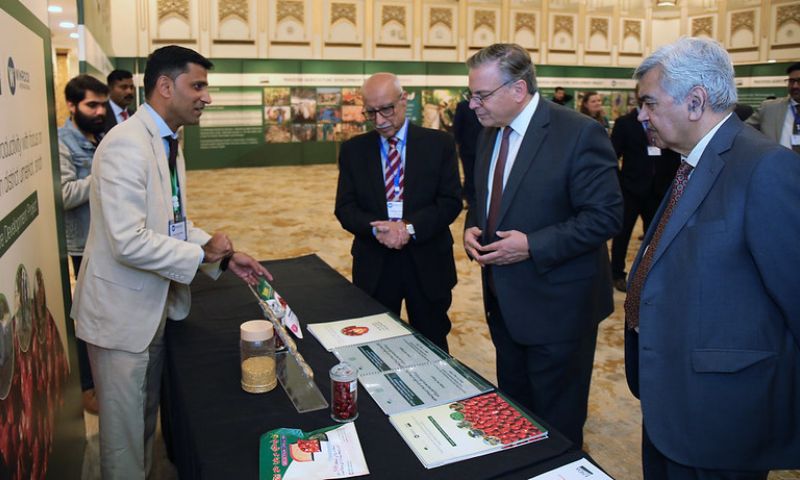 US, Pakistan, ambassador, envoy, Washington, Islamabad, economy, agriculture, tomato, jobs, Khairpur, Sindh, Climate

