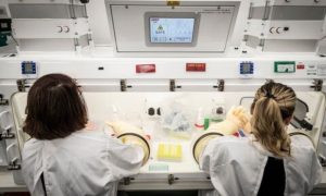 UK, Scientists, Treatment, Q Fever, Bacteria, Defence Science and Technology Laboratory, Technology, Ibuprofen, Painkiller, Health,
