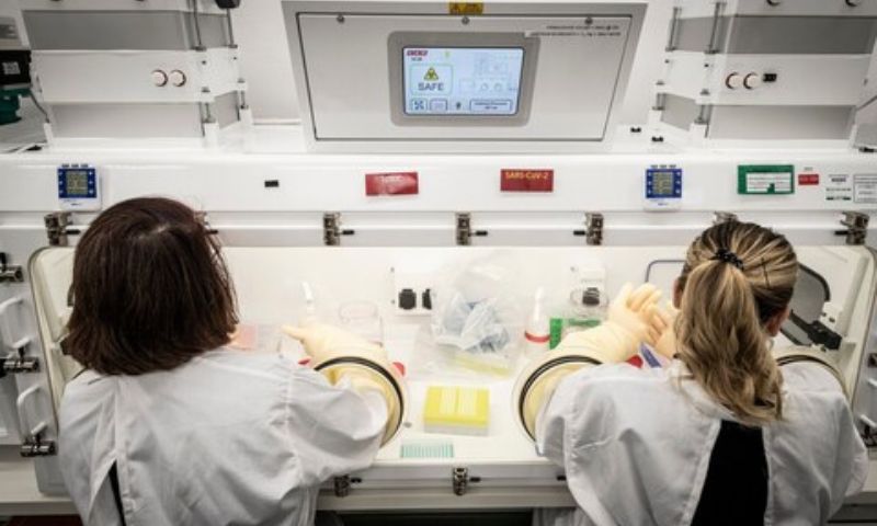 UK, Scientists, Treatment, Q Fever, Bacteria, Defence Science and Technology Laboratory, Technology, Ibuprofen, Painkiller, Health,