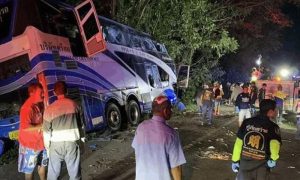 Brazil, Bus, Truck, Collision, Bahia, Salvador, Mangoes, Brazilian, Mayor, Buses, Football Club,