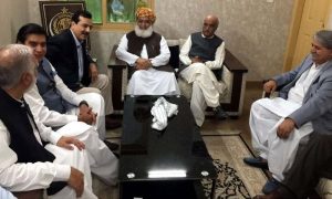 Pakistan Tehreek-e-Insaf- parliamentarians, PTI, Pakistan Peoples Party, PPP, Jamiat Ulema-e-Islam, JUI-F, Fazlur Rehman, 2024 general elections, NA-44, PK-111