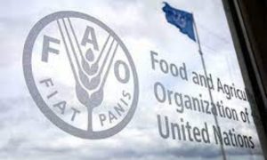 Pakistan, conference, Rome, Asia, agriculture, financing, pandemic, markets, climate, emergencies, economies