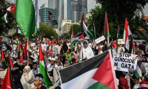 South Africa, Genocide Case, Israel, political parties, South Africa's genocide case, International Court of Justice, ICJ,