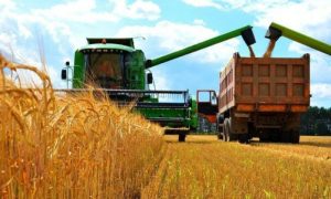 Kazakhstan, China, Grain, Trade, Chinese, Covid, Infrastructure, wheat, barley, soybeans, flax, sunflower seeds