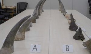 Singapore, court, Asia, trade, dollars, South African, Laos,