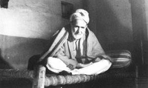 Amir Hamza