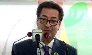 Seats, parliamentary, party, Election Commission of Pakistan, ECP, Sunni Itthad Council, SIC, Khalid Maqbool Siddiqui, President, Dr Arif Alvi, National Assembly
