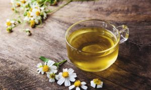Chamomile