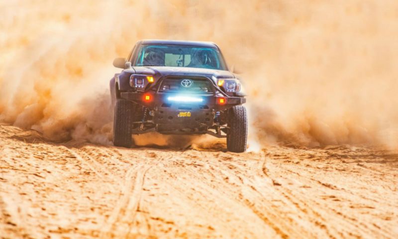 Cholistan