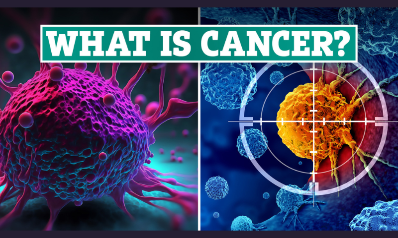 Chronic Stress Linked to Cancer Spread, Increased Risk of Heart Disease, Scientists Warn
