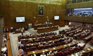 Senate, Amendment, Article, Constitution, Pakistan