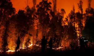 Chile, Fire, President Boric, SENAPRED, Firefighters, Forest Fires, Interior