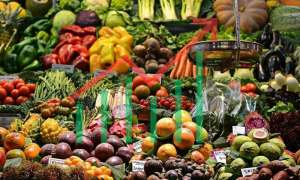 Kitchen Items' Prices Witnesses Slight Increase of 0.04 Percent