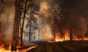 Chile, Climate, Fire, Toll