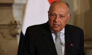 Egyptian, Foreign Minister, Slovenia, Joint Ministerial Committee for Economic Cooperation, Gaza, Egypt,