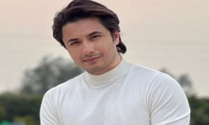 Pakistan, Ali Zafar, Film, Singer, Actor, India,