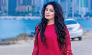Meera, Pakistani, Actress, General Elections, Twitter, X, Political, Votes