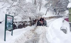 Murree