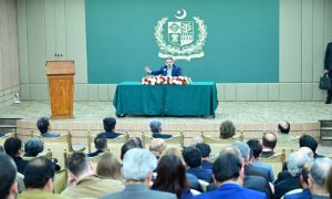 Prime Minister, caretaker, Anwaarul Haq Kakar, Economy,