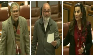 Pakistan's Senate Rejects Bill for Public Execution of Rape Convicts