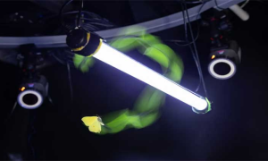 Study Reveals Why Insects are Attracted to Lights at Night