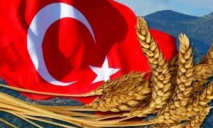 Turkiye