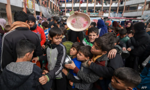 UN Food Agency Suspends Gaza Aid After Convoy Faces Gunfire