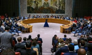 UN Security Council,