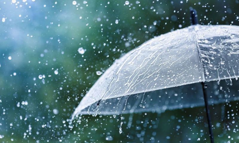 Weather,