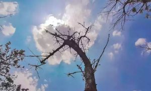 Weather, Pakistan Meteorological Department, PMD, severe heatwave, thunderstorms, isolated rainfall, Balochistan, Khyber Pakhtunkhwa, Gilgit-Baltistan, Kashmir