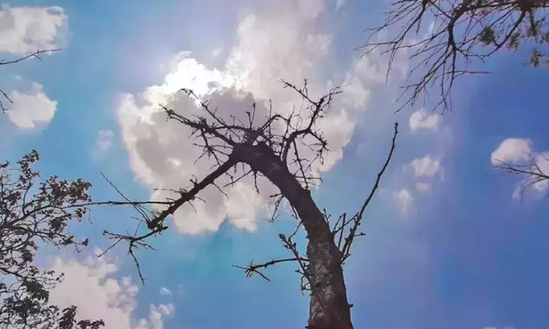 Weather, Pakistan Meteorological Department, PMD, severe heatwave, thunderstorms, isolated rainfall, Balochistan, Khyber Pakhtunkhwa, Gilgit-Baltistan, Kashmir