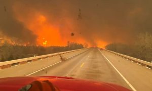 Wildfires