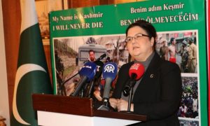 Pakistan Embassy, Ankara, Kashmir, Kashmir Solidarity Day, self-determination, Derya Yanik, Turkiye