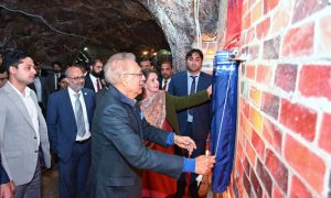 President, Dr Arif Alvi, book, pink, salt, Khewra Salt Mine, markets, technology, Development