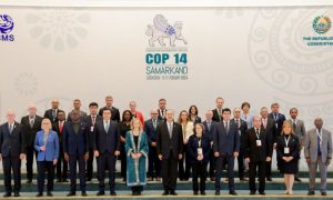 CMS COP14, Silk Road, Samarkand, Congress Hall, Prime Minister Abdulla Aripov.