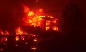 Chile, Forest Fires, Urban, Emergency, Chilean, Authorities, Wildfires, Urban Areas, Coastal, Firefighters, Valparaiso, Interior Minister, Homes