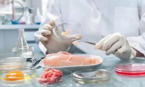 Saudi Food and Drug Authority, OIC, Training Workshop, Food, Regulation, Kingdom of Saudi Arabia, Kingdom, Pakistan, Bangladesh, Qatar, Morocco, Côte d'Ivoire, Senegal, Maldives, Yemen, Uganda, Oman, Jordan