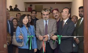 Japan, Exhibition, cultural, Pakistan, art, ceremony, Ambassador, tea,