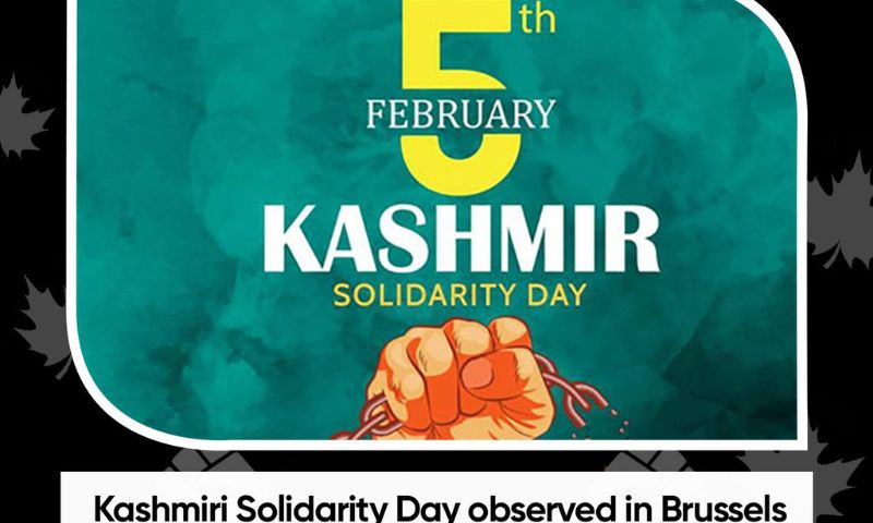 Kashmir, Kashmir, Brussels, Belgium, Indian, IIOJK, crisis, right,