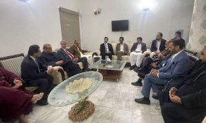 Muttahida Qaumi Movement, MQM-P, PML-N, National Assembly, Khalid Maqbool Siddiqui,