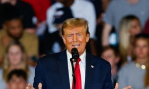 Trump, US, Vote, Immigration, Ukraine, Israel