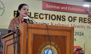 Seminar, Exhibition, health, Kashmir, India, art, life, political and diplomatic, students, Mushaal Mullick,
