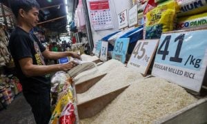 Philippine, Rice, Agriculture, US,