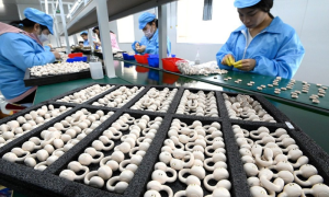 China's Bluetooth Headphone Market Expands in 2023